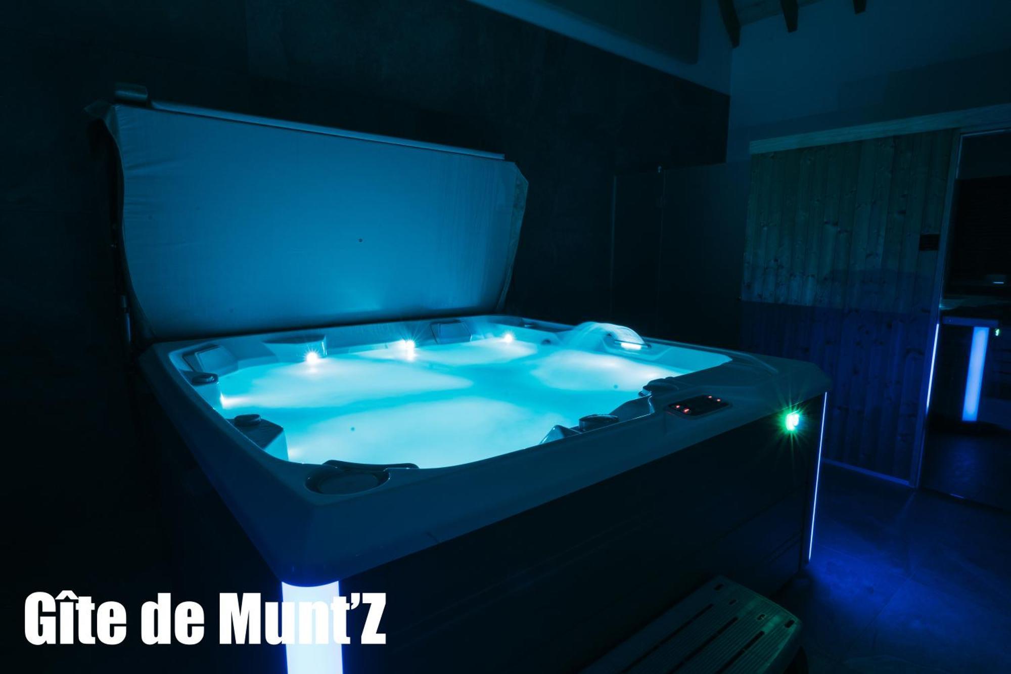 Gite De Munt'Z Spa, Sauna, Piscine, Proche De Colmar Muntzenheim Exteriör bild